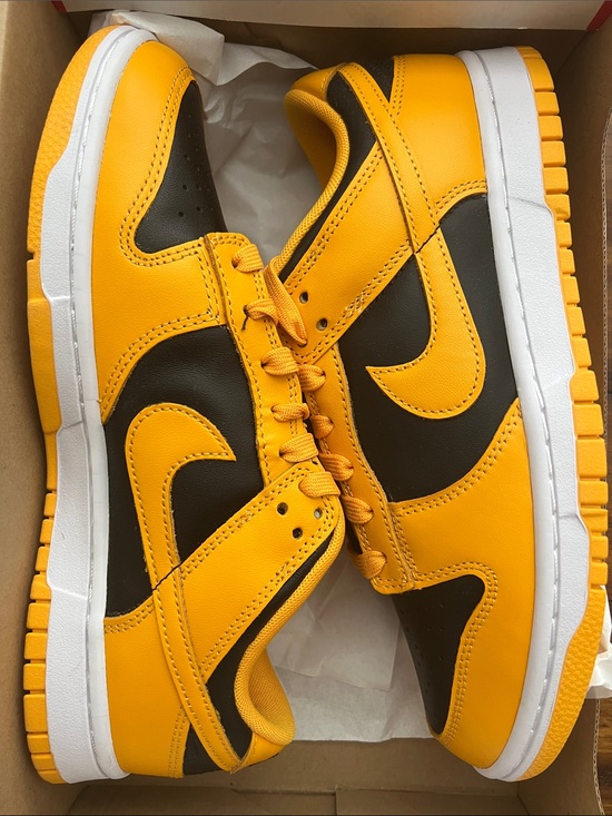 Nike Other - Nike Men’s Dunk Low Retro